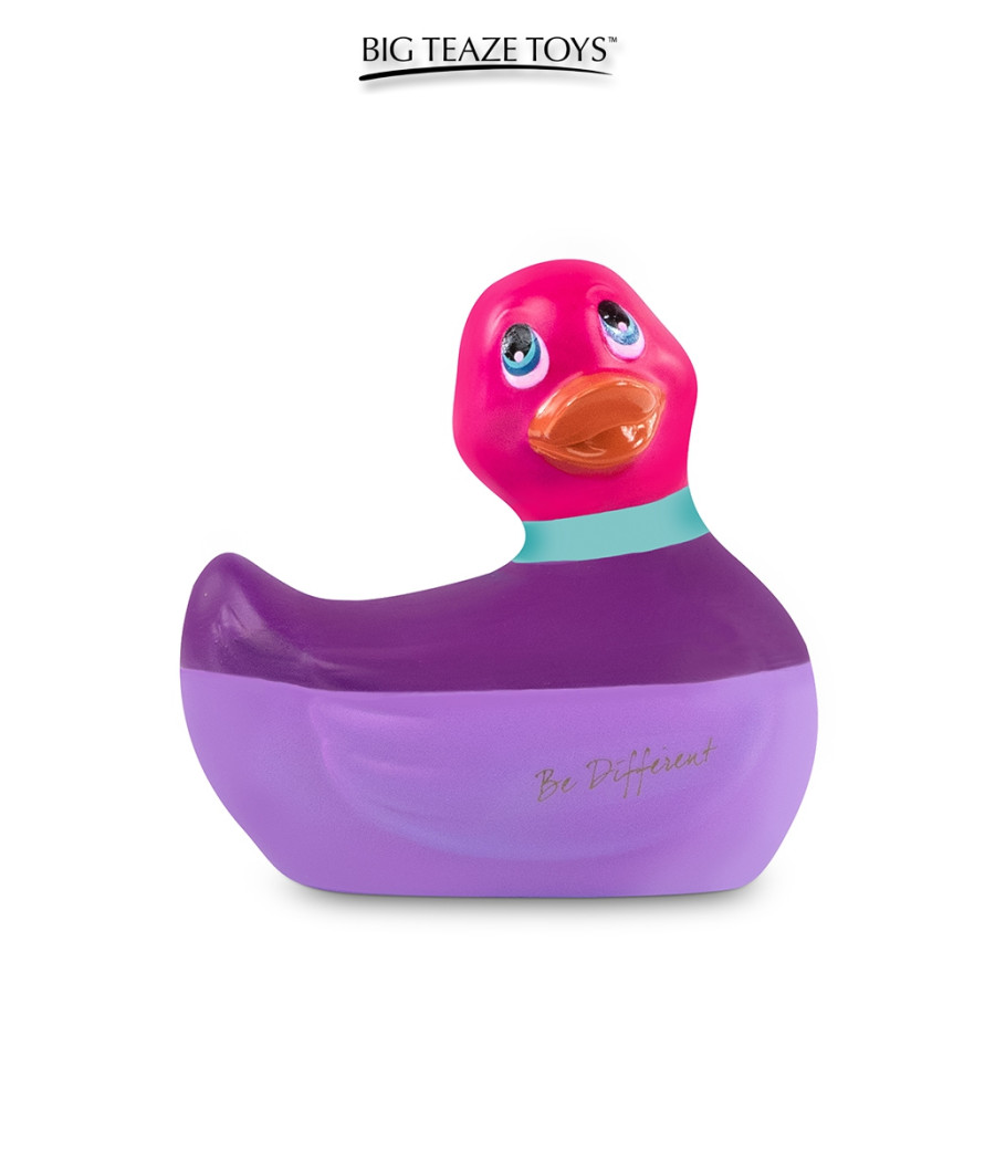 Mini canard vibrant Colors rose